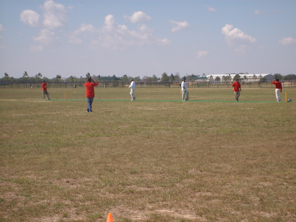 Kindred Doctor's Cricket in Katy